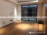 Featured image for “Apartment 86 sqm in Luohu District The Peninsula 3 – 18000CNY”