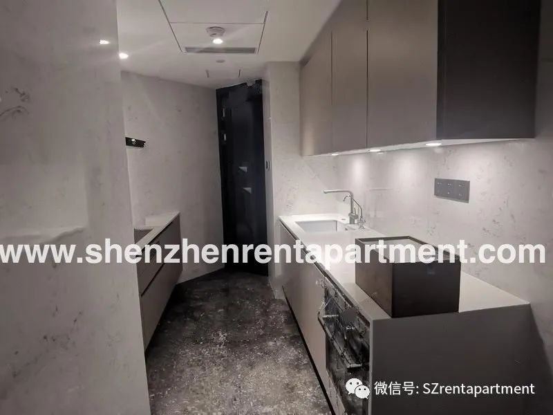 Featured image for “【The Peninsula4】102㎡ seaview unfurnished oven kitchen 2bedrooms”