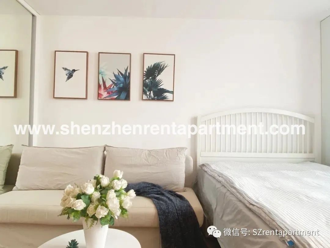 Featured image for “【Shuiwan Cloudy Apartment】43㎡ furnished studio 7K/mth”